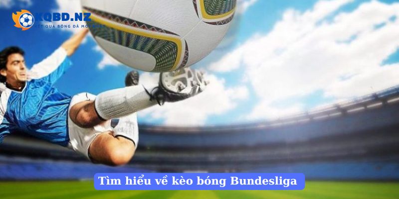 Tìm hiểu về kèo bóng Bundesliga 