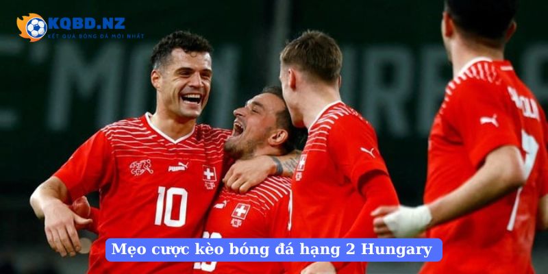 Mẹo cược kèo bóng đá hạng 2 Hungary