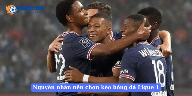 Nguyên nhân nên chọn kèo bóng đá Ligue 1