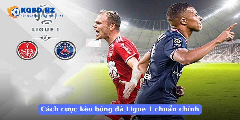 Cách cược kèo bóng đá Ligue 1 chuẩn chỉnh