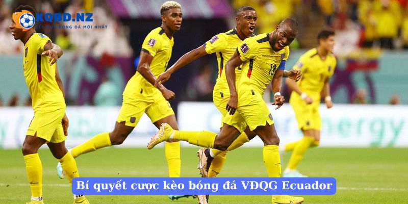 Bí quyết cược kèo bóng đá VĐQG Ecuador