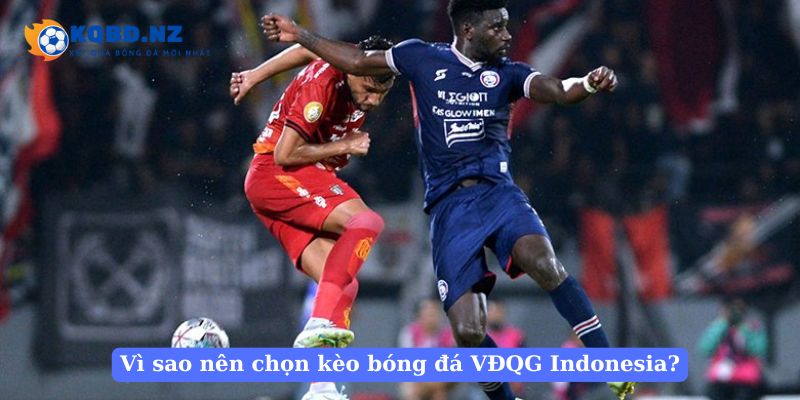 Vì sao nên chọn kèo bóng đá VĐQG Indonesia?