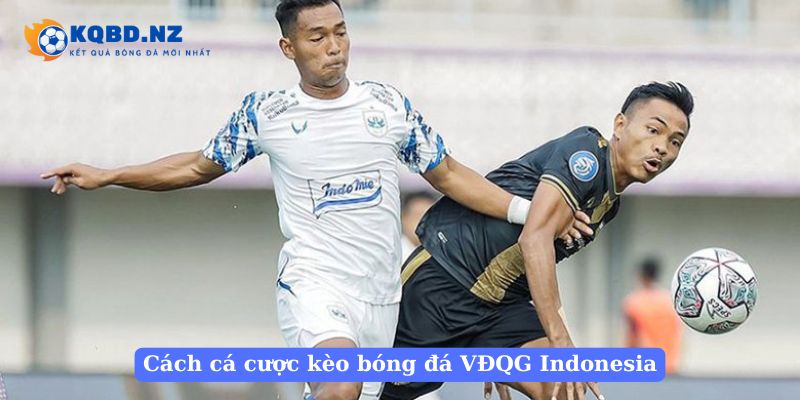 Cách cá cược kèo bóng đá VĐQG Indonesia 