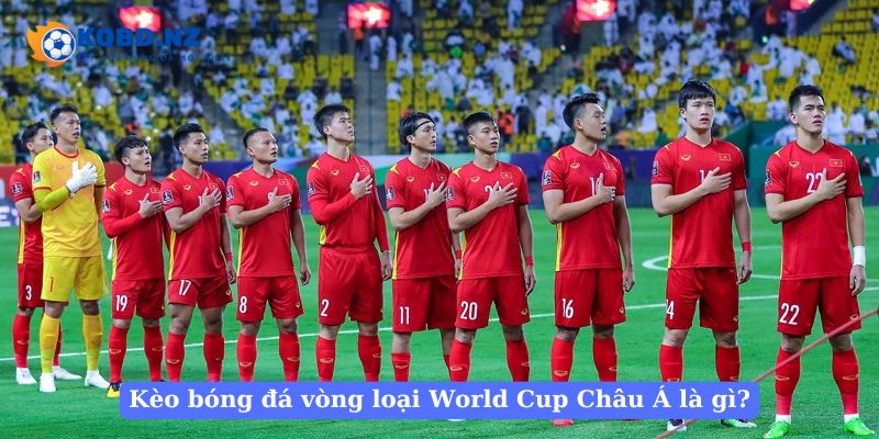 Sức hút của bóng đá vòng loại World Cup Châu Á