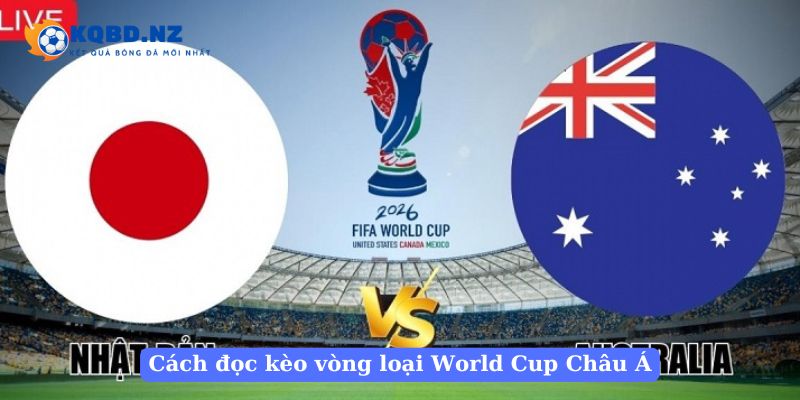 Các cách đọc kèo bóng đá vòng loại World Cup Châu Á