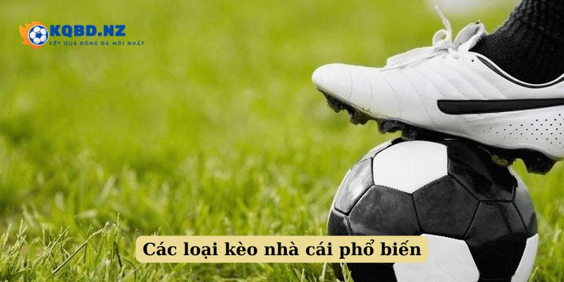 Các loại kèo thông dụng hiện nay