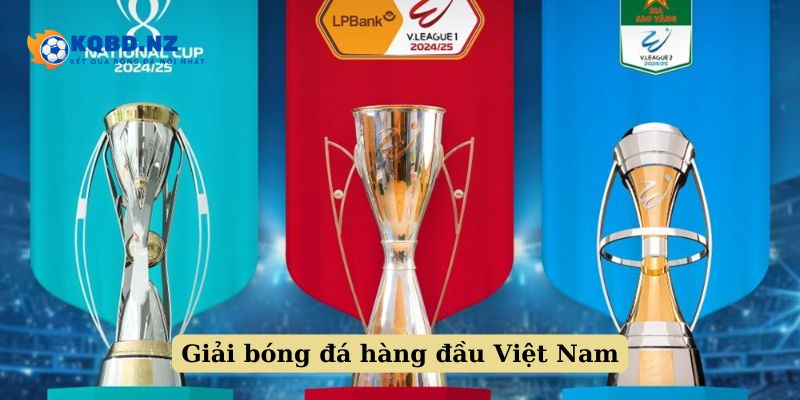 Lịch thi đấu bóng đá V-League