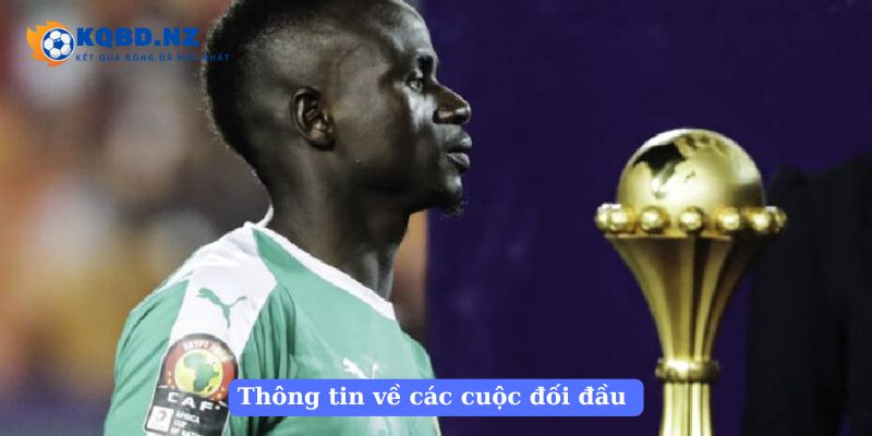 Thông tin về các cuộc đối đầu 